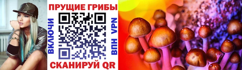 сайты даркнета как зайти  Петухово  Галлюциногенные грибы мицелий  магазин    мега  