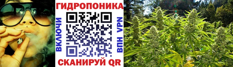 гидра ONION  Петухово  Шишки марихуана MAZAR 